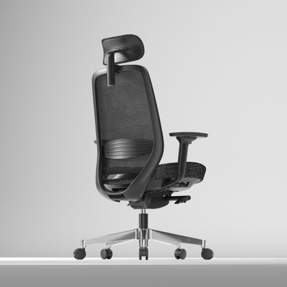 Egosift Ergonomic Office Chair with Thickened seat Soft Cushion &  Breathable Mesh Spine Support