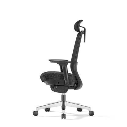 Egosift Ergonomic Office Chair with Thickened seat Soft Cushion &  Breathable Mesh Spine Support